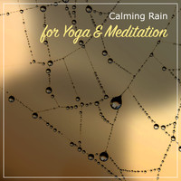 Rain Sounds, Calming Sounds, Nature Sounds Nature Music - 11 Calming Rain Album to Relieve Stress
