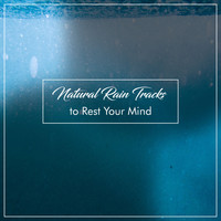 Rain Sound Studio, Rain and Nature, Relaxing Music Therapy - 14 Sleeping Rain Tracks for Anxious Minds