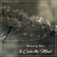 Rain Sounds, Calming Sounds, Nature Sounds Nature Music - 13 Popular Rain Tracks to Unwind & Relax
