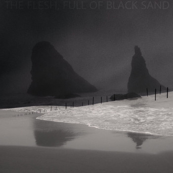 The Flesh Full of Black Sand / - Ashes Rose Into the Sky and Mixed with Falling Snow, Everything Turned Dark with Blood and the Ash​-​Grey Snow
