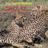 Peter Allan - Tales from the Madhouse