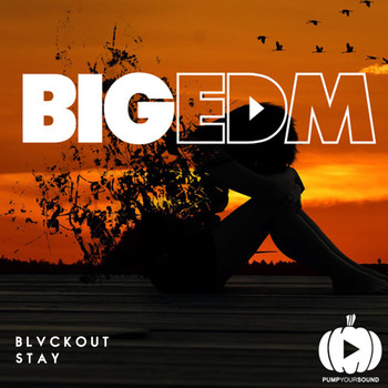 BLVCKOUT - Stay