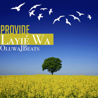 OluwaJBeats - Provide Layie Wa