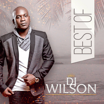 Various Artists - Best of DJ wilson