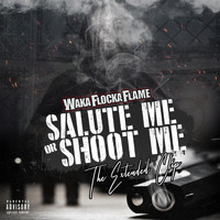 Waka Flocka Flame - Salute Me or Shoot Me: The Extended Clip (Explicit)