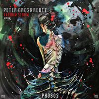 Peter Groskreutz - Vacuum Storm