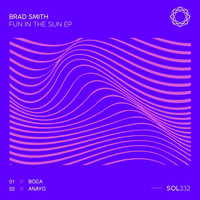 Brad Smith - Fun In The Sun EP