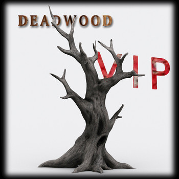 Asteroid Afterparty - Deadwood (VIP Version)