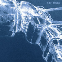 SCB - Fish Tubes