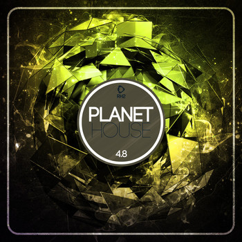 Various Artists - Planet House 4.8