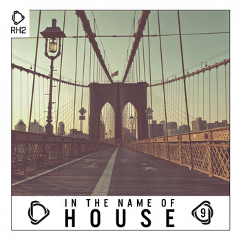 Various Artists - In the Name of House, Vol. 9