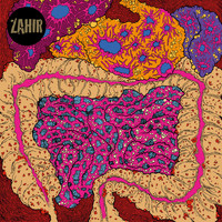 Zahir - What Noise? (Explicit)