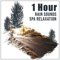 Sleep Sounds of Nature, Spa Relaxation, Rain for Deep Sleep - 18 Rain and Nature Storms for Ultimate Relaxation