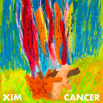 Kim - Cancer