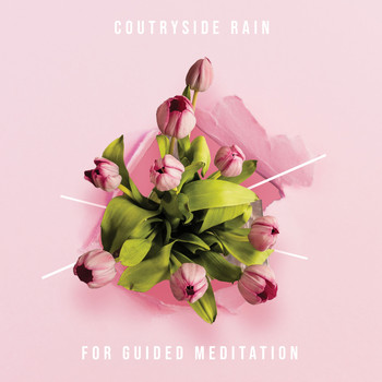 Tranquil Music Sounds of Nature, Loopable Rain Sounds, Sound of Rain - 10 Countryside Rain Songs for Guided Meditation