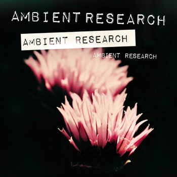 Various Artists - Ambient Research