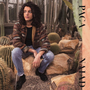Paca - Naiad