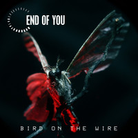 End Of You - Bird on the Wire