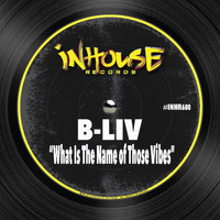 B-Liv - What is the Name of Those Vibes