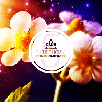 Various Artists - Future House Conglomerate Vol.5