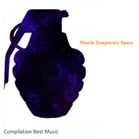 Shurik - Temporary Space