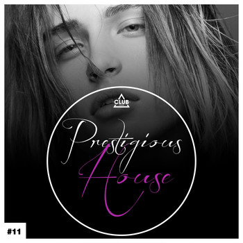 Various Artists - Prestigious House, Vol. 11