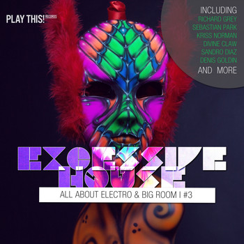 Various Artists - Excessive House, Vol. 3 - All About Electro & Big Room