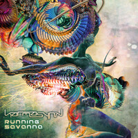 KarmasynK - Running Savanna