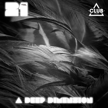 Various Artists - A Deep Dimension, Vol. 21
