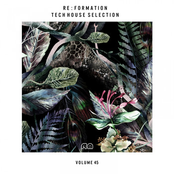 Various Artists - Re:Formation, Vol. 45 - Tech House Selection