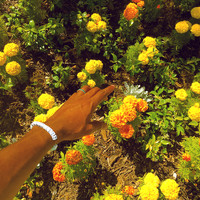 Tyler, The Creator - Peach Fuzz (Explicit)