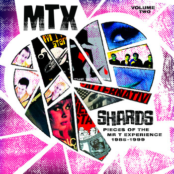 The Mr T Experience - Mtx Shards, Vol. 2: The Vinyl Edition