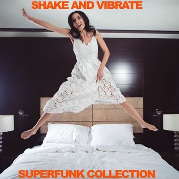 Various Artists - Shake and Vibrate: Superfunk Collection
