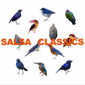 Various Artists - Salsa Classics