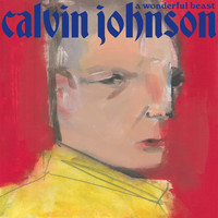 Calvin Johnson - (I've Still Got) Sand in My Shoes