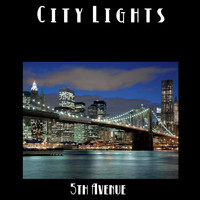 5th Avenue - City Lights