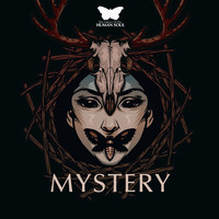 The Library Of The Human Soul & Vienna Session Orchestra - Mystery