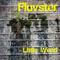 Fluvster - Little Weed