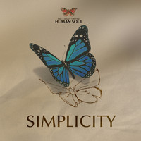 The Library Of The Human Soul & Vienna Session Orchestra - Simplicity