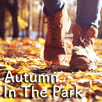 Various Artists - Autumn In The Park