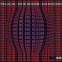Tom & Collins - Give Me One Reason (Alan Nieves Remix)