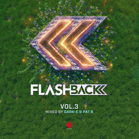 Various Mixed By Dark-E & Pat B - Flashback - third edition