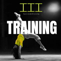 Scorpion - Training, Vol. 3