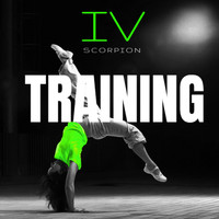 Scorpion - Training, Vol. 4