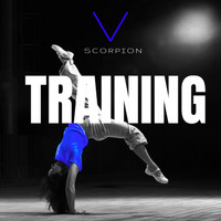 Scorpion - Training, Vol. 5
