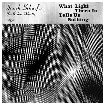 Janek Schaefer - What Light There Is Tells Us Nothing