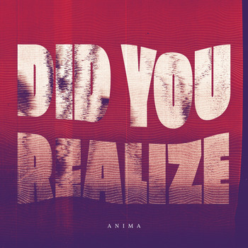 Anima - Did You Realize
