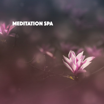 Relajacion Del Mar, Asian Zen Meditation and Dormir - Meditation Spa