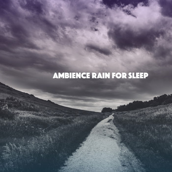 Rain Sounds & White Noise, Meditation Rain Sounds and Rain - Ambience Rain for Sleep