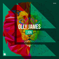 Olly James - Lion